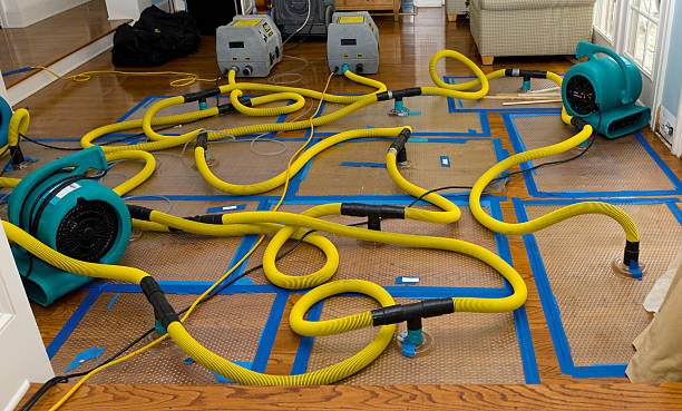 Professional Water Damage Repair technician working in Clarksville, TN
